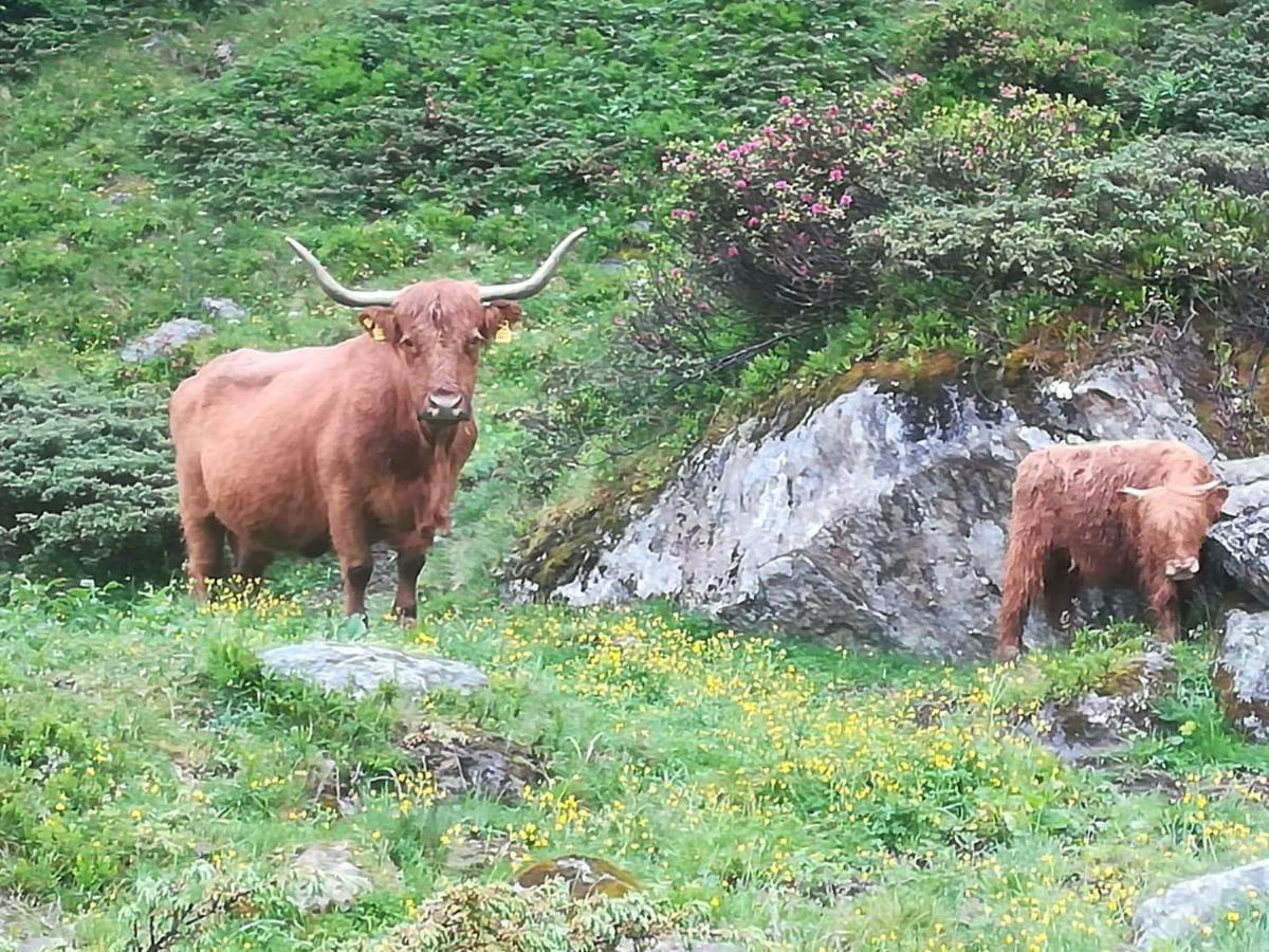 Haus Pechtl Hotell Sankt Leonhard im Pitztal Eksteriør bilde